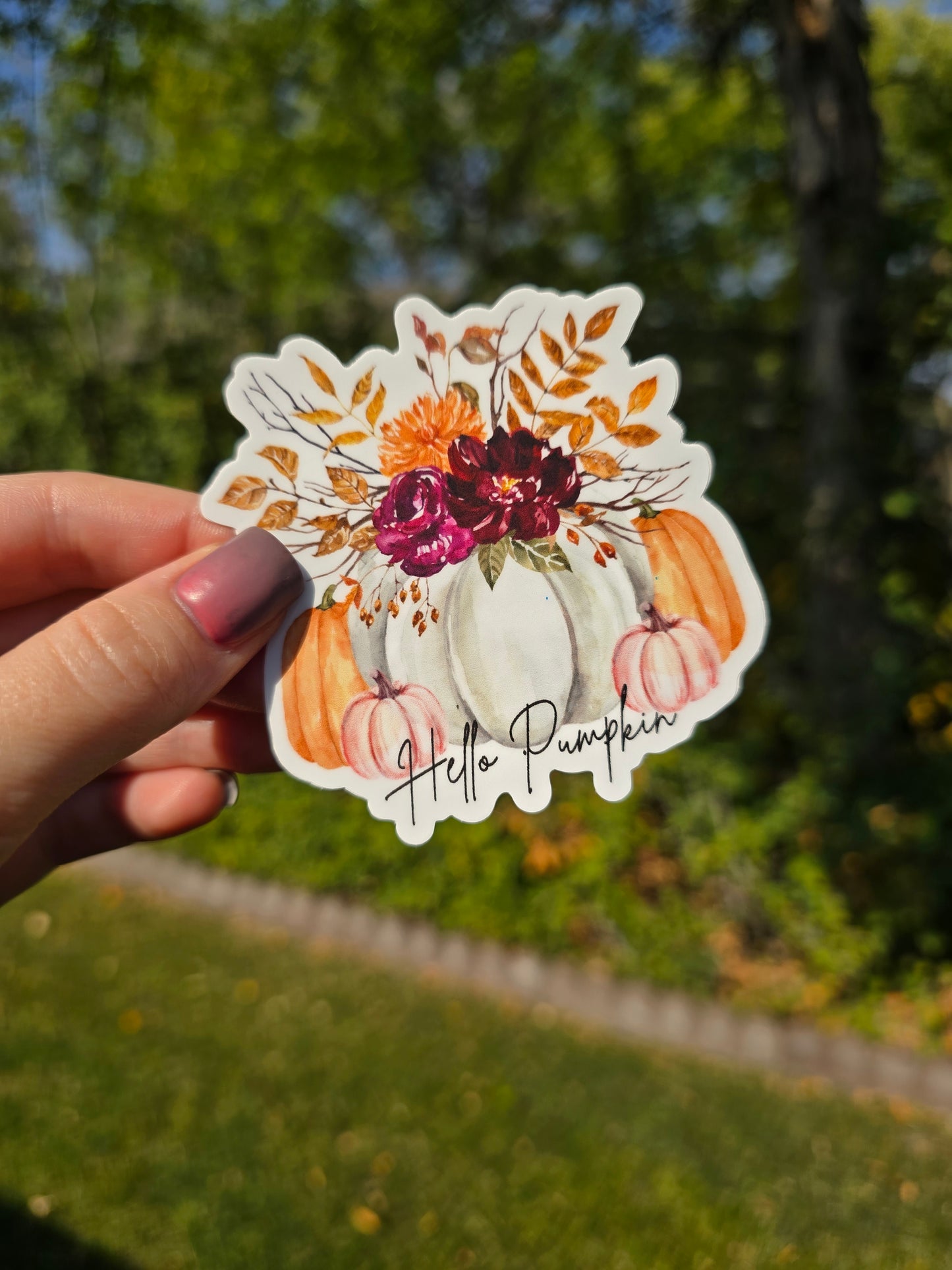 Hand holding a Three-inch by three-inch vinyl sticker showing a white pumpkin decorated with fall florals in burgundy and orange, surrounded by smaller orange and blush pumpkins, with the words ‘Hello Pumpkin’ in black script. Sticker shown in an outdoor setting.